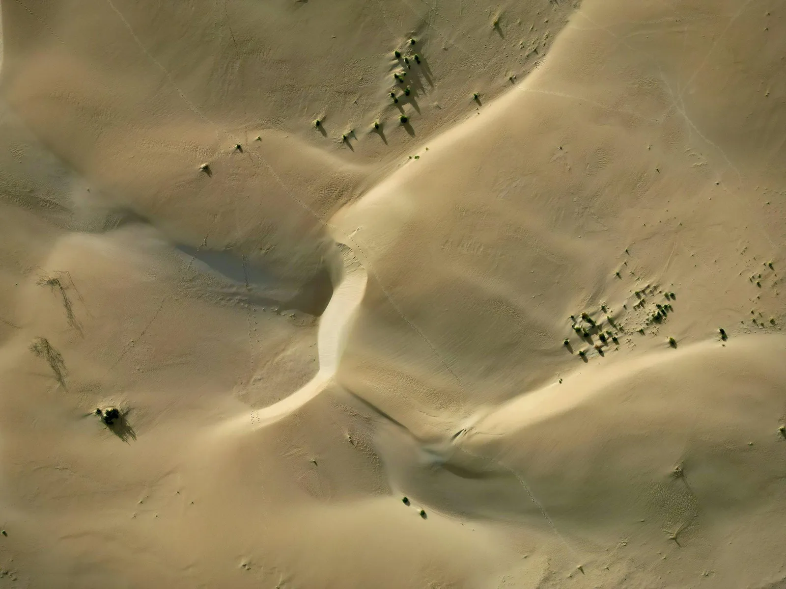 Top-down aerial view of pale cream desert dunes with soft shadows